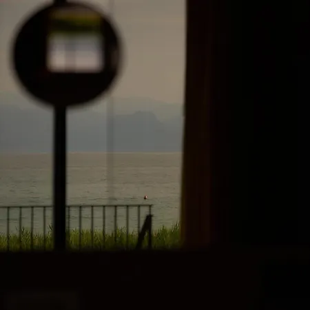 Vela Blu *